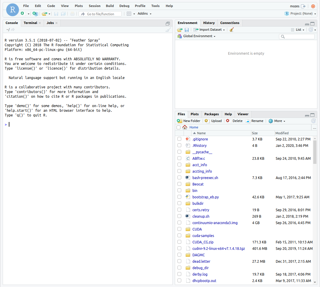 Screenshot showing RStudio through OpenOnDemand